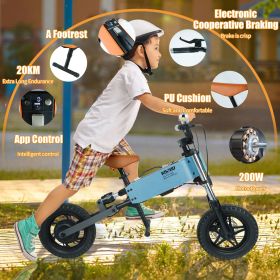 Children's outdoor off-road electric bicycle (Color: as Pic)